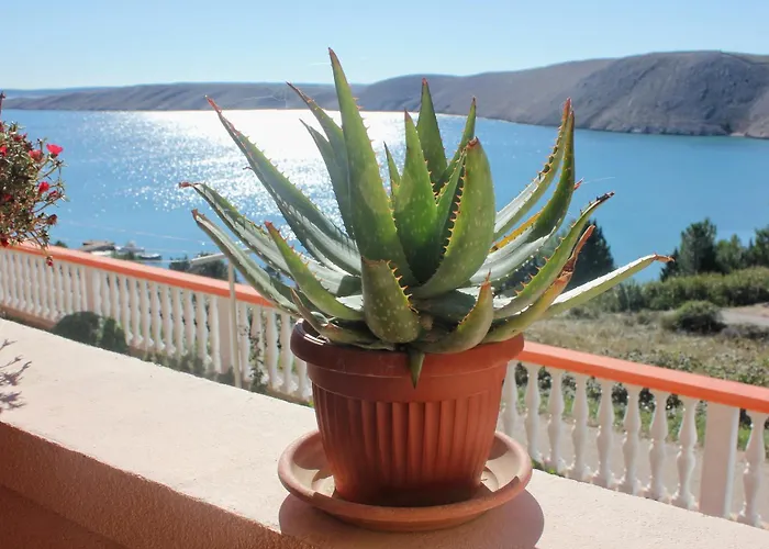By The Sea Vlasici, Pag - 9324